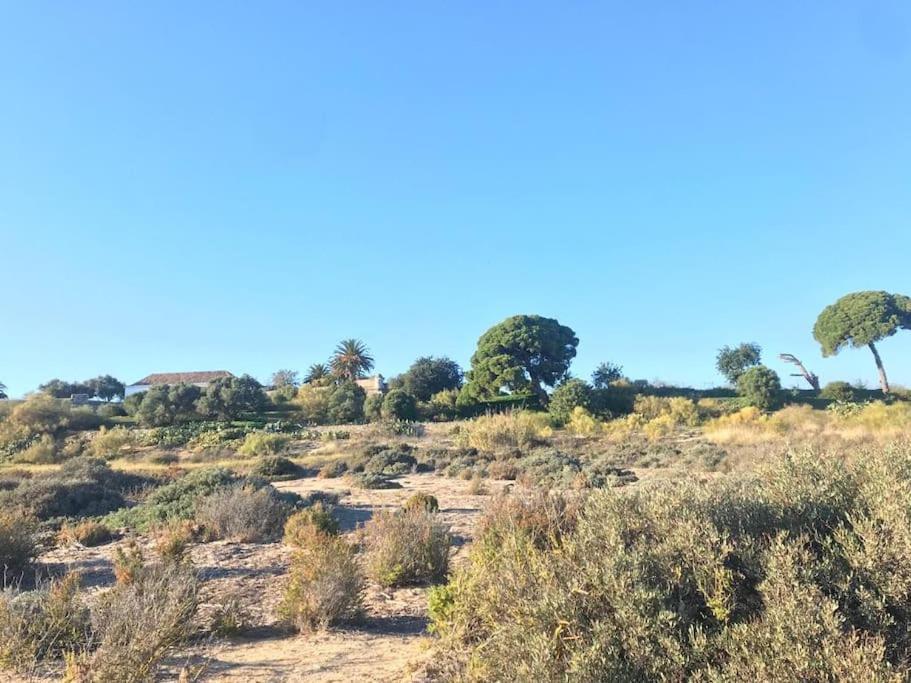 Casa Da Boa Gente Leilighet Cabanas De Tavira Eksteriør bilde